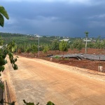 Cần bán Đất Xã Tân Hà Lâm Hà Diện tích 302m² Giá 495 Triệu Thổ Cư 177m²